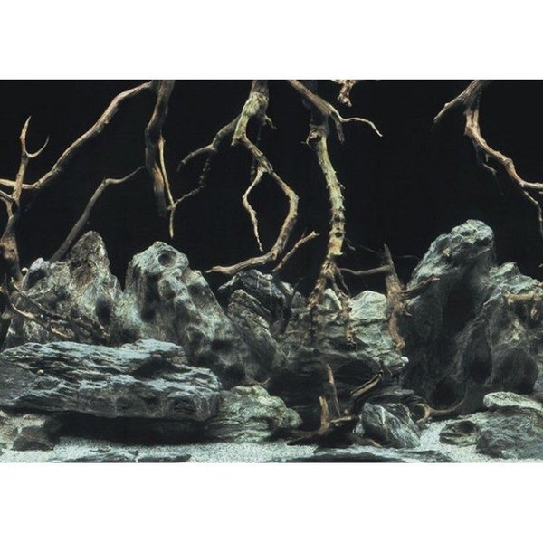 Aqua Nova Fotorückwand Tree Roots / Water L Poster Rückwand 100x50cm Aquarium