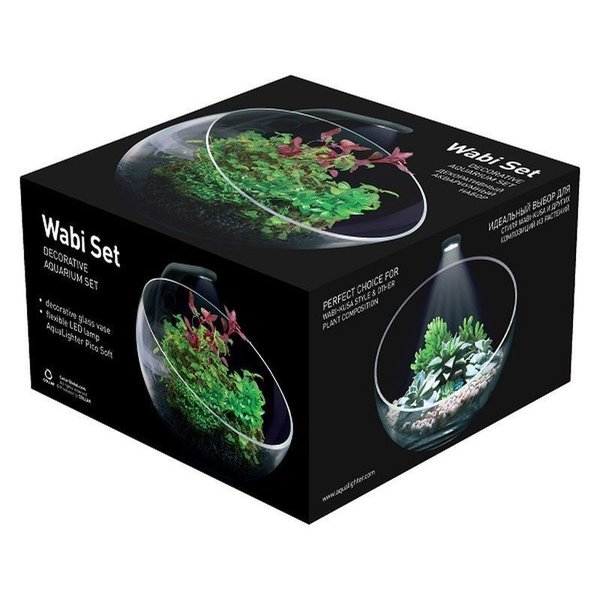 Collar Wabi Kusa Set - dekorative Glasvase als Halbkugel inkl. LED Lampe